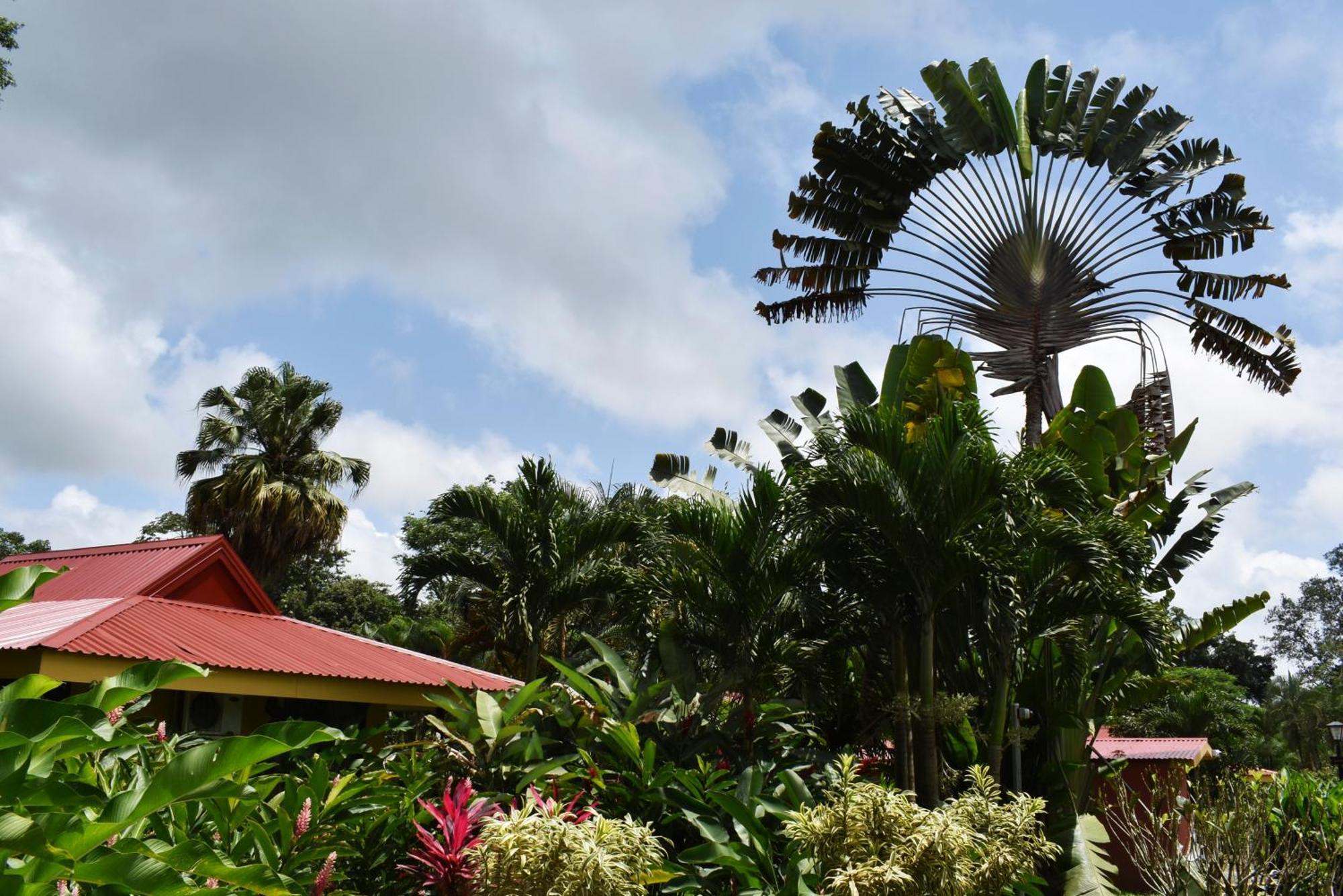 Hotel Arenal Country Inn La Fortuna المظهر الخارجي الصورة